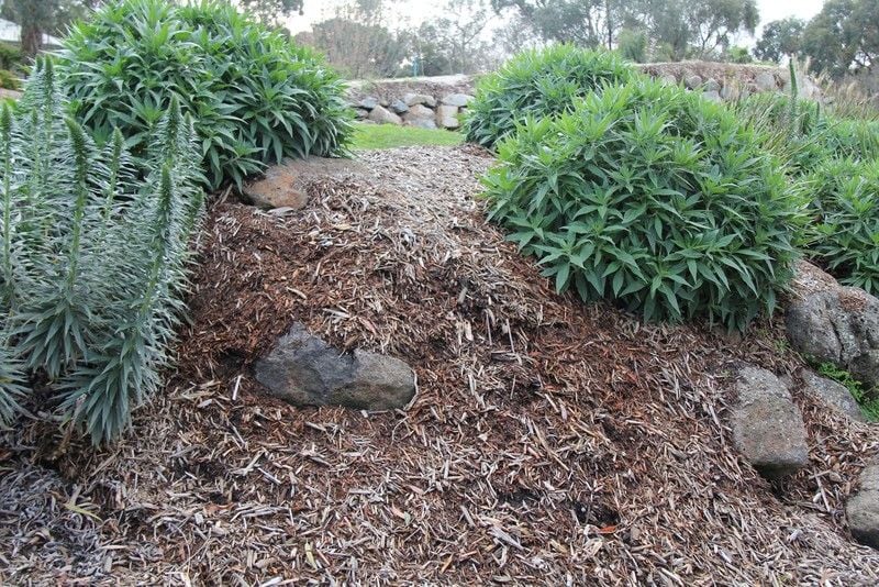 Quality Garden Mulch - $10 per m3* Quality Garden Mulch - $10 per m3*